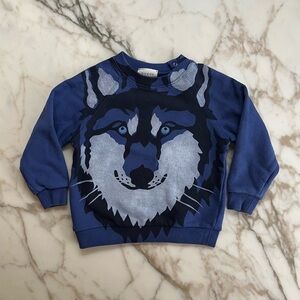 Kids Blue Wolf Graphic Sweatshirt